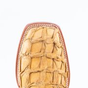 Fish Antique Pull up Cowboy Boots
