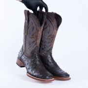Print Ostrich Black & Brown Cowboy Boots