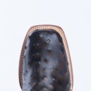 Print Ostrich Black & Brown Cowboy Boots